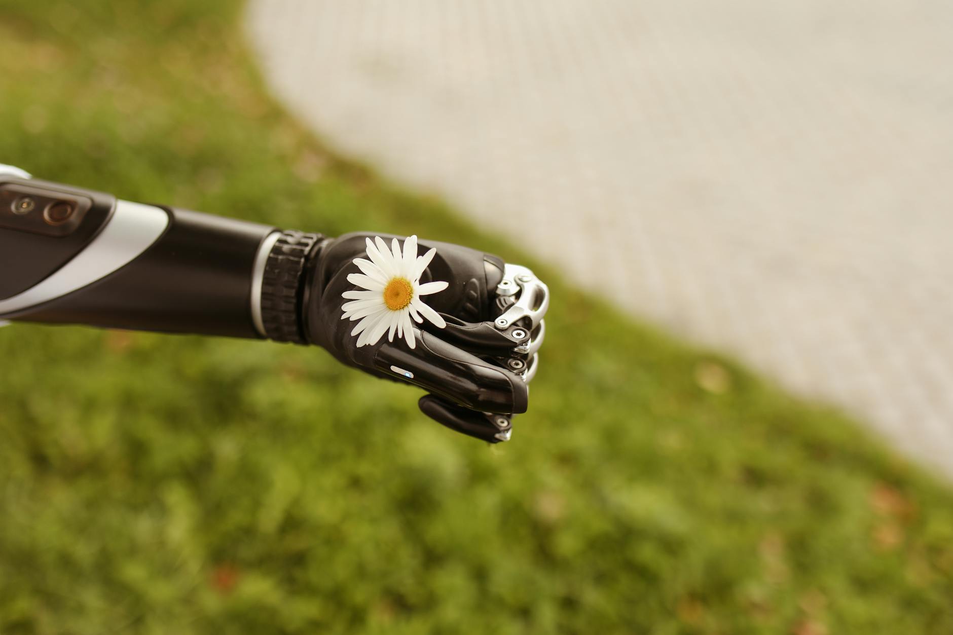 Close-up of a prosthetic hand gently holding a daisy, symbolizing technology and nature.